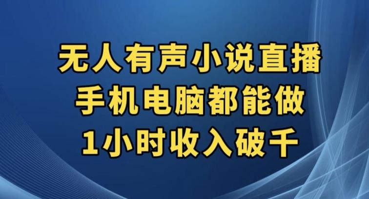 抖音无人有声小说直播，手机电脑都能做，1小时收入破千【揭秘】-木白网创