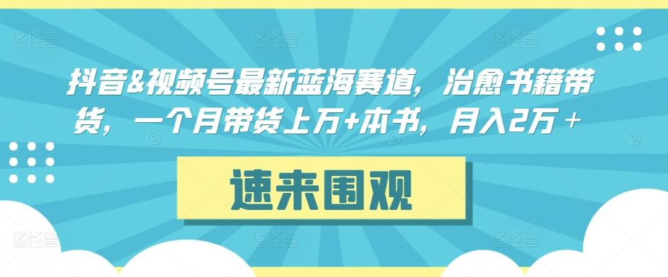 抖音&视频号最新蓝海赛道，治愈书籍带货，一个月带货上万+本书，月入2万＋【揭秘】-木白网创