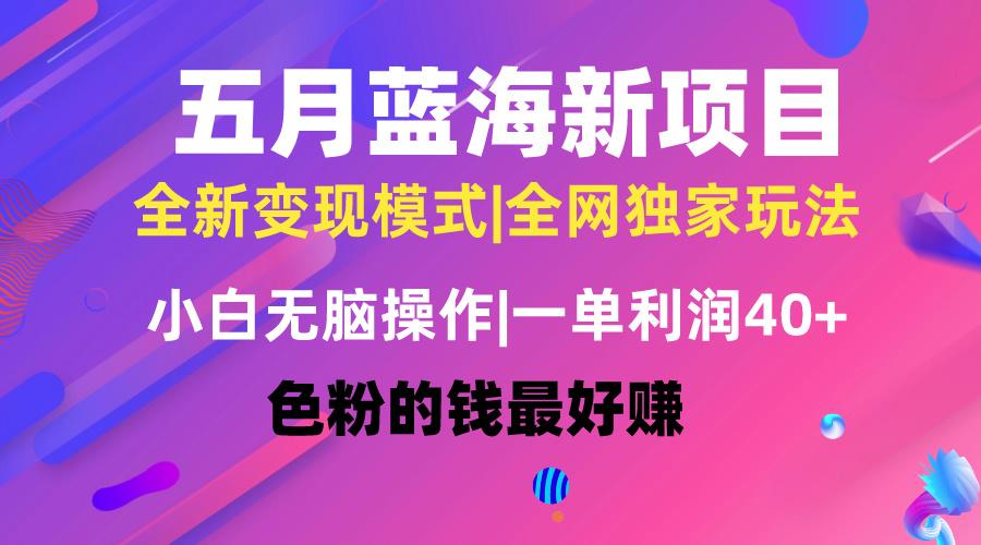 五月蓝海项目全新玩法，小白无脑操作，一天几分钟，矩阵操作，月入4万+-木白网创