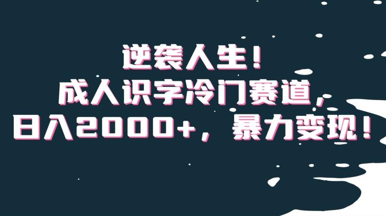 逆袭人生！成人识字冷门赛道，日入2000+，暴力变现！【揭秘】-木白网创