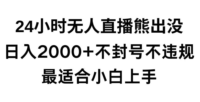 快手24小时无人直播熊出没，不封直播间，不违规，日入2000+，最适合小白上手，保姆式教学【揭秘】-木白网创