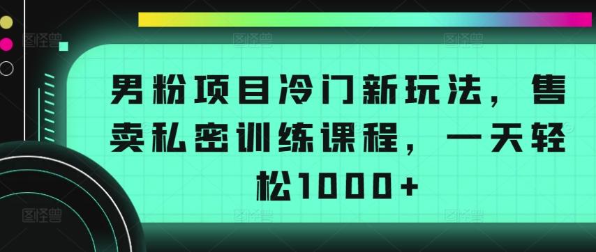 男粉项目冷门新玩法，售卖私密训练课程，一天轻松1000+【揭秘】-木白网创