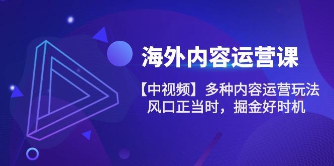 海外内容 运营课【中视频】多种内容运营玩法 风口正当时 掘金好时机-101节-木白网创