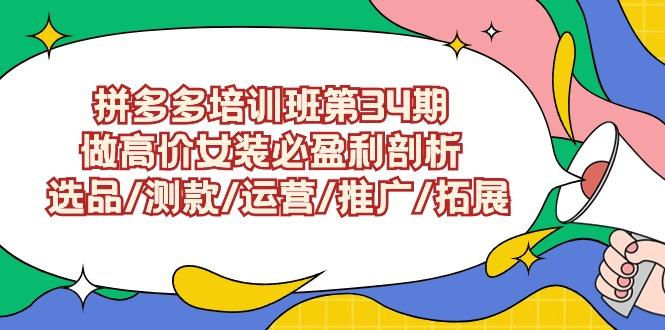 (9333期)拼多多培训班第34期：做高价女装必盈利剖析  选品/测款/运营/推广/拓展-木白网创