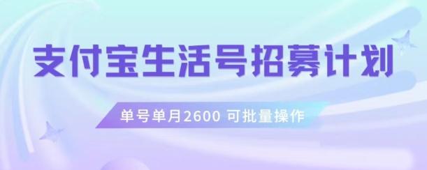 支付宝生活号作者招募计划，单号单月2600，可批量去做，工作室一人一个月轻松1w+【揭秘】-木白网创