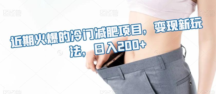 近期火爆的冷门减肥项目，变现新玩法，日入200+-木白网创