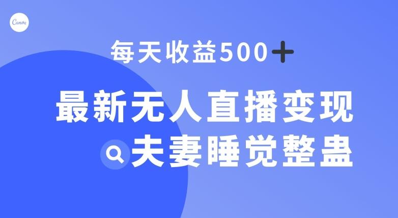 最新无人直播变现，夫妻睡觉整蛊，每天躺赚500+【揭秘】-木白网创
