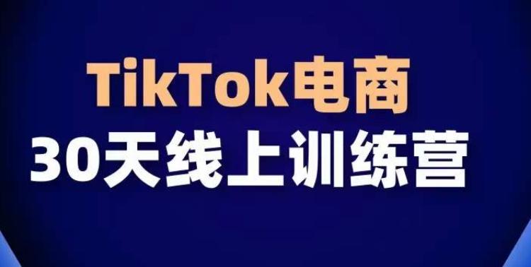 TikTok电商带货30天线上课，不可错过的全球流量洼地！-木白网创