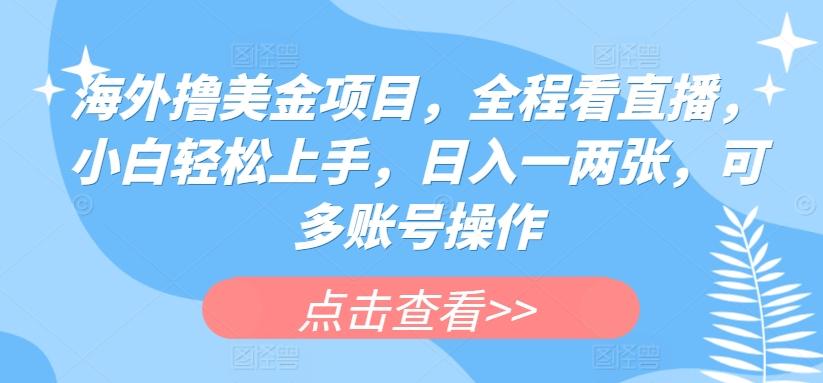 海外撸美金项目，全程看直播，小白轻松上手，日入一两张，可多账号操作【揭秘】-木白网创