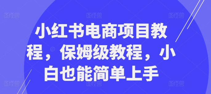小红书电商项目教程，保姆级教程，小白也能简单上手-木白网创