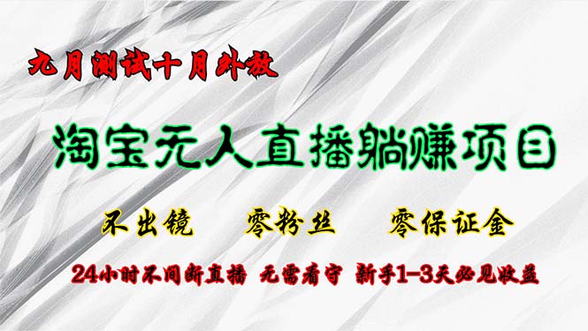 淘宝无人直播最新玩法，九月测试十月外放，不出镜零粉丝零保证金，24小…-木白网创