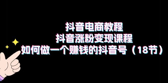抖音电商教程：抖音涨粉变现课程：如何做一个赚钱的抖音号(18节-木白网创