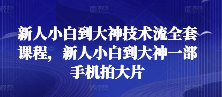 新人小白到大神技术流全套课程，新人小白到大神一部手机拍大片-木白网创