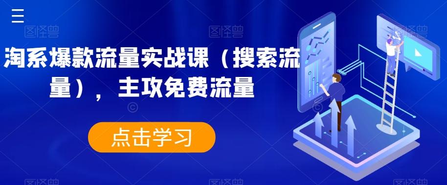淘系爆款流量实战课（搜索流量），主攻免费流量-木白网创