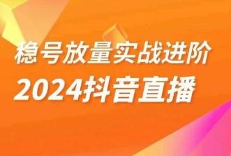 稳号放量实战进阶—2024抖音直播，直播间精细化运营的几大步骤-木白网创