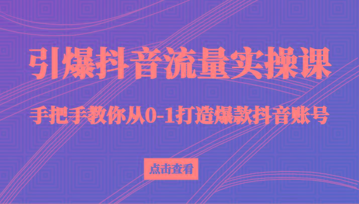 引爆抖音流量实操课，手把手教你从0-1打造爆款抖音账号(27节课)-木白网创
