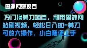 冷门撸美刀项目，利用国外网站刷视频，轻松日入80+美刀，可放大操作，小白随便上手-木白网创