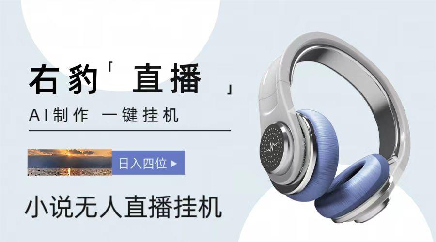 右豹小说无人直播挂机吸金项目，简单易行收益稳定， 月入1000+-木白网创