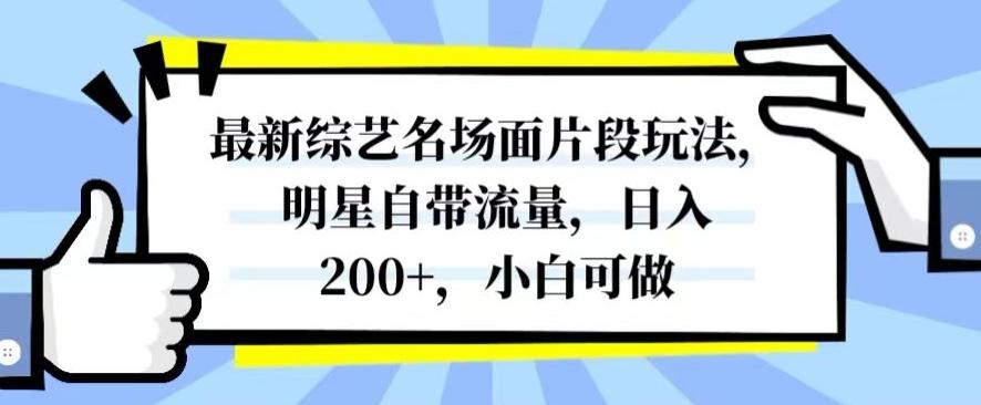 最新综艺名场面片段玩法，明星自带流量，日入200+，小白可做【揭秘】-木白网创