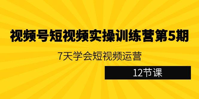 视频号短视频实操训练营第5期：7天学会短视频运营(12节课)-木白网创