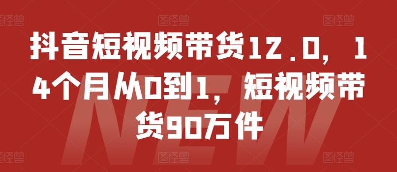 抖音短视频带货12.0，14个月从0到1，短视频带货90万件-木白网创