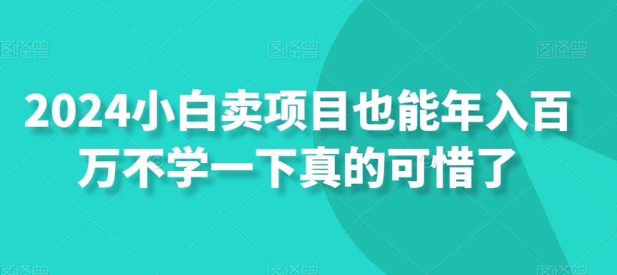 2024小白卖项目也能年入百万不学一下真的可惜了-木白网创