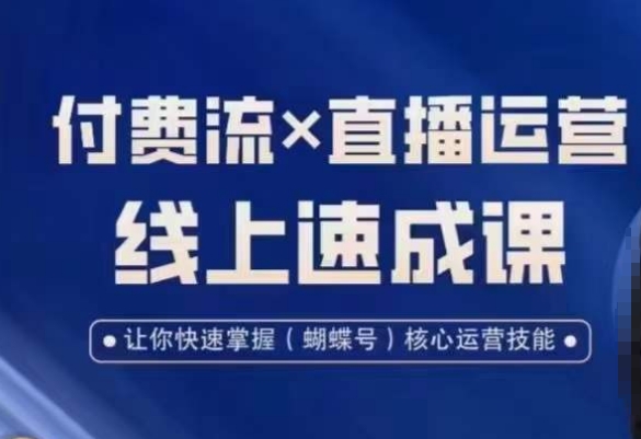 视频号付费流实操课程，付费流✖️直播运营速成课，让你快速掌握视频号核心运营技能-木白网创