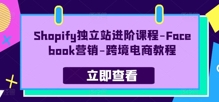 Shopify独立站进阶课程-Facebook营销-跨境电商教程-木白网创