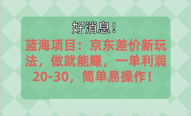 越早知道越能赚到钱的蓝海项目：京东大平台操作，一单利润20-30，简单…-木白网创
