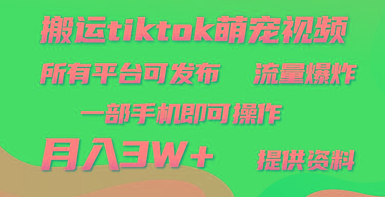 (9618期)搬运Tiktok萌宠类视频，一部手机即可。所有短视频平台均可操作，月入3W+-木白网创