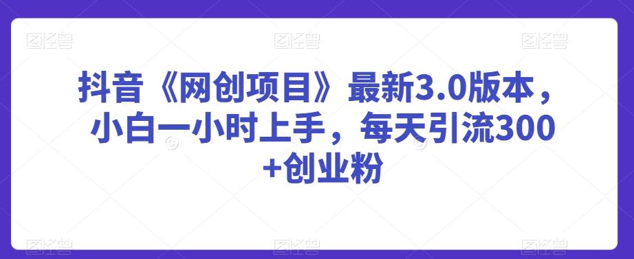 抖音《网创项目》最新3.0版本，小白一小时上手，每天引流300+创业粉【揭秘】-木白网创
