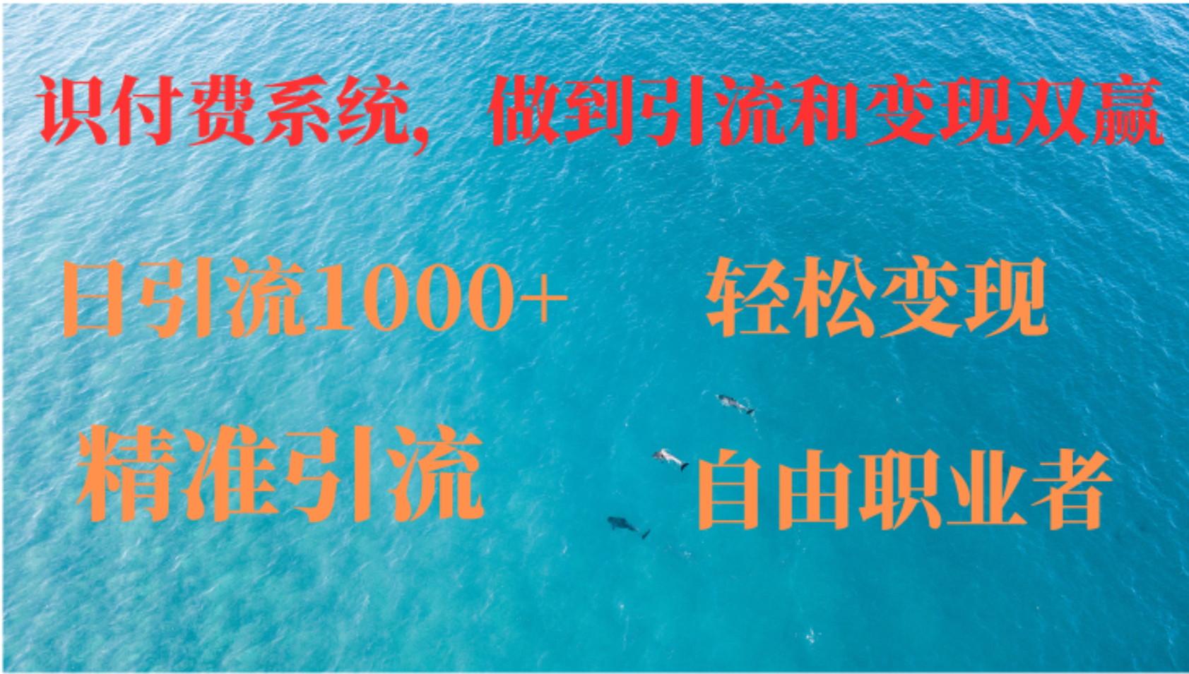 如何搭建自己的知识付费系统，做到引流和变现双赢-木白网创