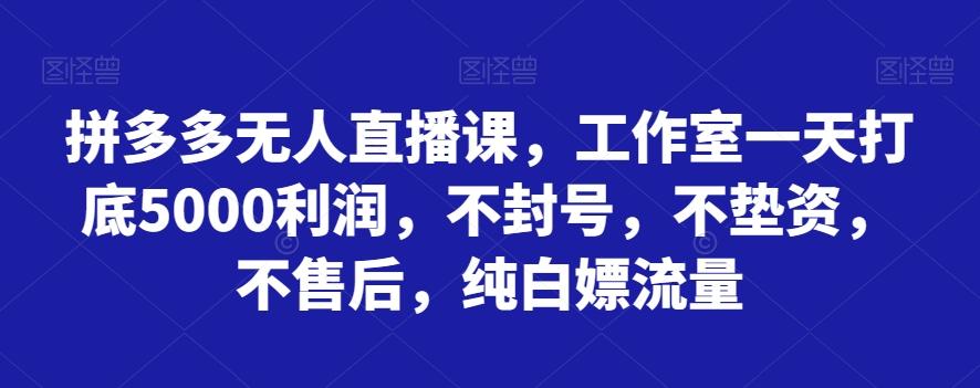 拼多多无人直播课，工作室一天打底5000利润，不封号，不垫资，不售后，纯白嫖流量-木白网创