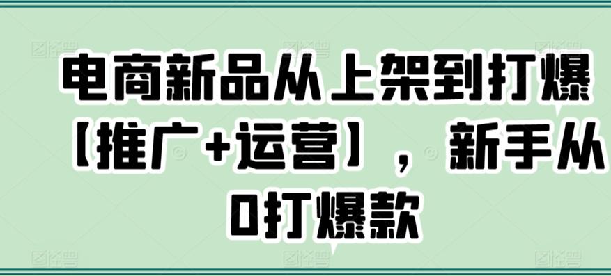 电商新品从上架到打爆【推广+运营】，新手从0打爆款-木白网创