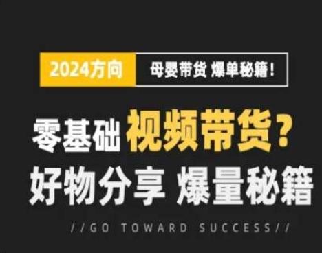 短视频母婴赛道实操流量训练营，零基础视频带货，好物分享，爆量秘籍-木白网创