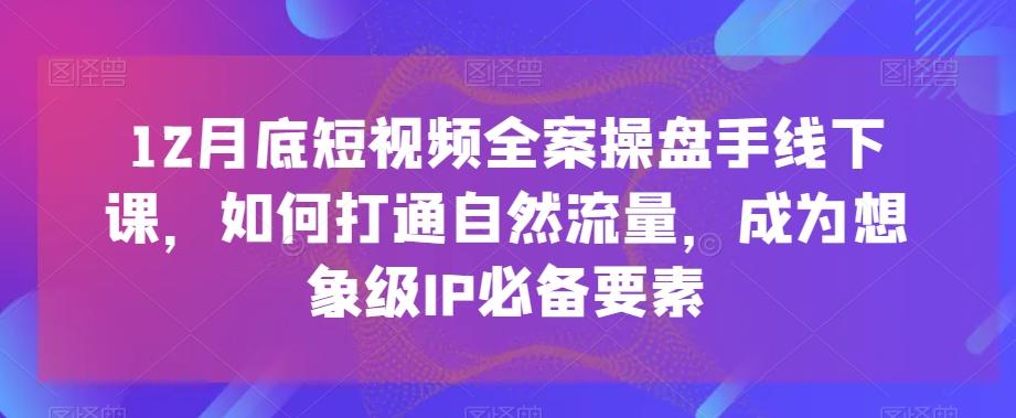12月底短视频全案操盘手线下课，如何打通自然流量，成为想象级IP必备要素-木白网创