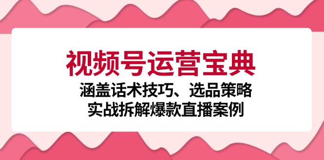 视频号运营宝典：涵盖话术技巧、选品策略、实战拆解爆款直播案例-木白网创