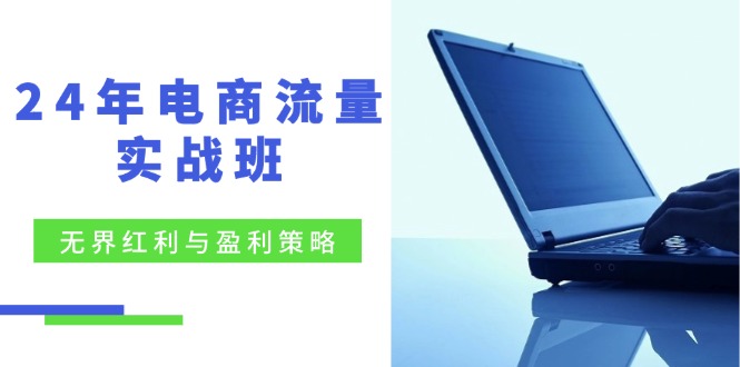 24年电商流量实战班：无界 红利与盈利策略，终极提升/关键词优化/精准…-木白网创
