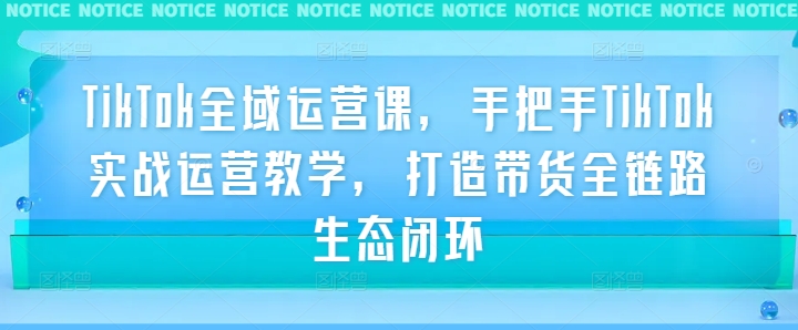 TikTok全域运营课，手把手TikTok实战运营教学，打造带货全链路生态闭环-木白网创