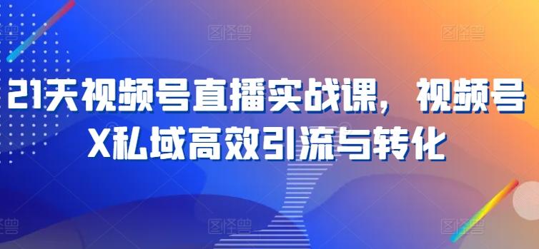 21天视频号直播实战课，视频号X私域高效引流与转化-木白网创