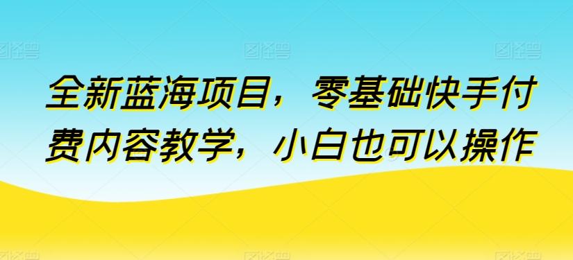 全新蓝海项目，零基础快手付费内容教学，小白也可以操作【揭秘】-木白网创
