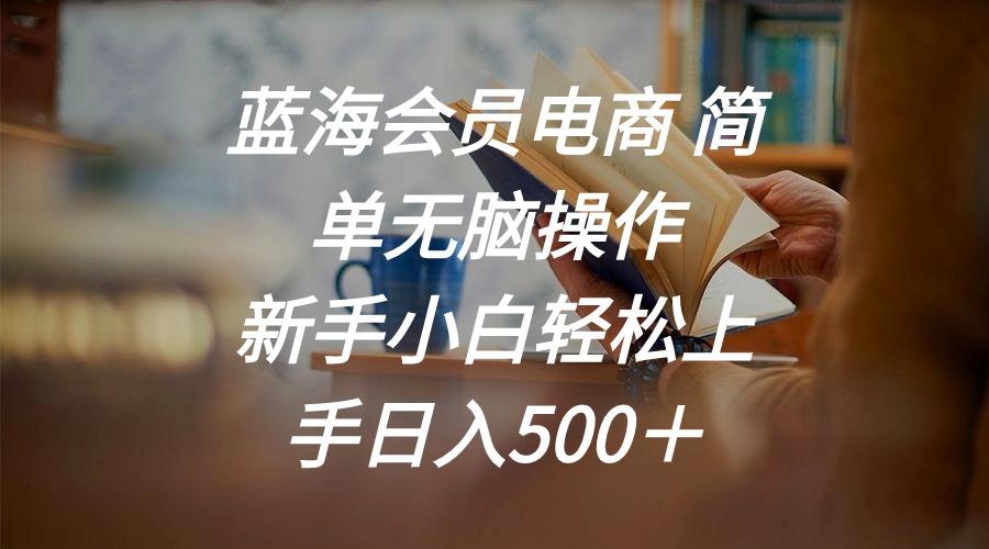 蓝海会员电商 简单无脑操作 新手小白轻松上手日入500＋-木白网创