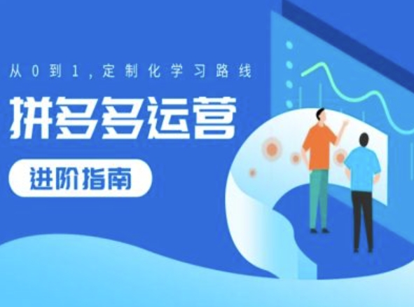 拼多多运营进阶指南，从0到1定制化学习路线-木白网创