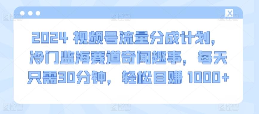 2024视频号流量分成计划，冷门监海赛道奇闻趣事，每天只需30分钟，轻松目赚 1000+【揭秘】-木白网创