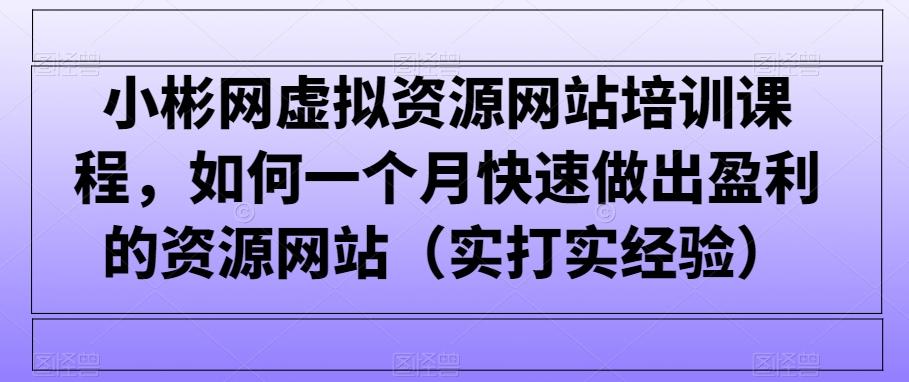 小彬网虚拟资源网站培训课程，如何一个月快速做出盈利的资源网站(实打实经验)-木白网创