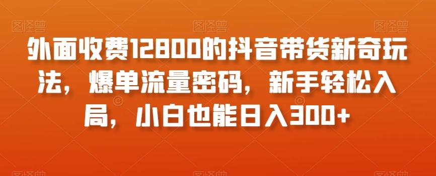 外面收费12800的抖音带货新奇玩法，爆单流量密码，新手轻松入局，小白也能日入300+【揭秘】-木白网创