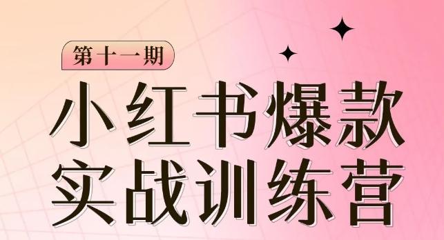 小红书博主爆款训练营第11期，手把手教你从0-1做小红书，从定位到起号到变现-木白网创