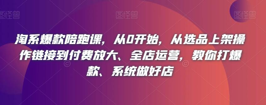 淘系爆款陪跑课，从0开始，从选品上架操作链接到付费放大、全店运营，教你打爆款、系统做好店-木白网创
