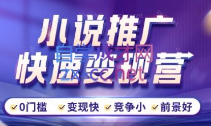 洲洲老师·小说推广快速变现营-木白网创