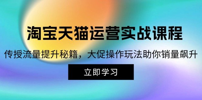 淘宝&天猫运营实战课程，传授流量提升秘籍，大促操作玩法助你销量飙升-木白网创